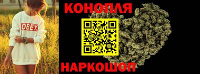 прущие грибы Камышлов