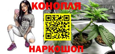 СК Канаш