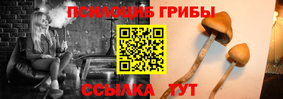 Псилоцибиновые грибы Magic Shrooms Кудрово